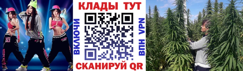Где купить Каменка КОКАИН  Меф  кракен   A PVP  МАРИХУАНА  Вейп ТГК  ГАШ  Псилоцибиновые грибы 