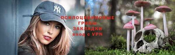 jwh Абаза