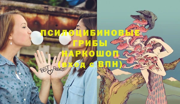 прущая мука Абинск