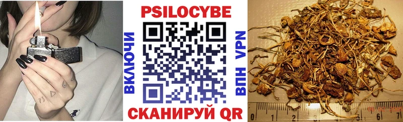 Галлюциногенные грибы прущие грибы Каменка